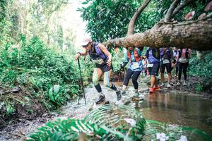 BIB: 
                            <button type="button" onclick="openModal(25478450)" class="btn btn-primary btn-sm float-right btn-popup" data-toggle="modal" data-target=".modal-high-quality">
                        <i class="fas fa-shopping-cart"></i> Add to Cart
                    </button>
                                            <button type="button" onclick="isThisMe(25478450, true)" class="btn btn-success btn-sm float-right btn-popup btn-isme hidden" data-toggle="tooltip" data-placement="bottom" title="นี่คือรูปของคุณใช่ไหม คลิกที่นี่เพื่อเอาเข้าอัลบั้ม">
                        <i class="fas fa-plus"></i> Add to album
                    </button>
                    <button type="button" onclick="isThisMe(25478450, false)" class="btn btn-warning btn-sm float-right btn-popup btn-isnotme hidden">
                        <i class="fas fa-ban"></i> Remove from album
                    </button>